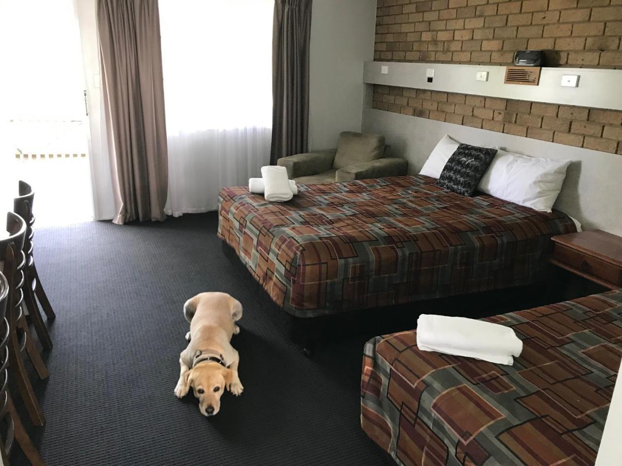 True Blue Motor Inn Rockhampton Zewnętrze zdjęcie
